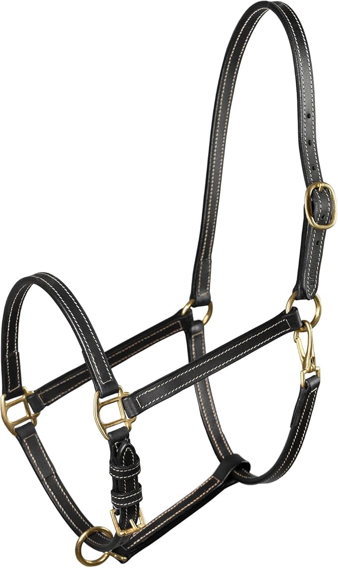 HORZE Fremont Soft Leather Horse Halter | Fully Adjustable with Brass Hardware & Contrast Stitching - Black - Warmblood