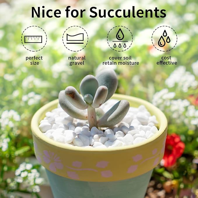10LB Natural Succulent Gravel Decorative White Rocks - 3/8'' Small White Pebbles for Plants, Decorative Stones, Succulent Rocks Pebbles for Planter, Aquarium Pea Gravel for Landscaping