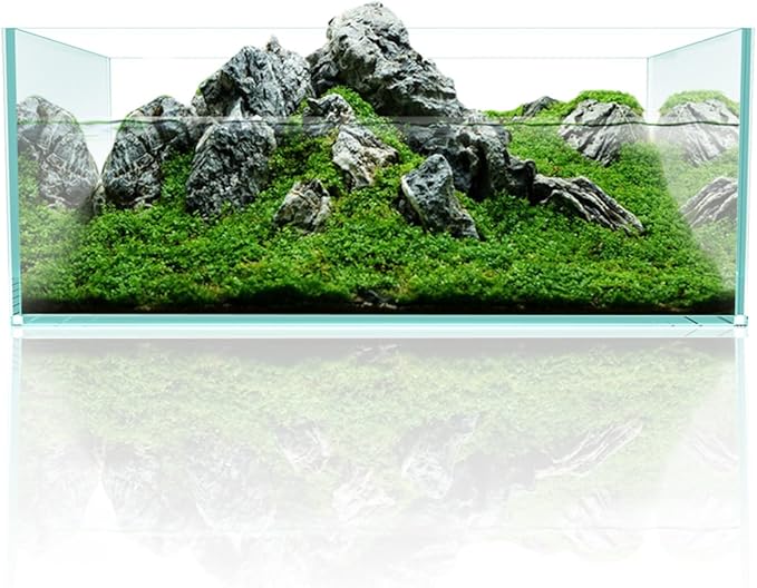 Fzone 6.4 Gal Shallow Rimless Low Iron Fish Tank Nova Clear Ultra-White 45° Mitered Edges Translucent Glass Anata Series Aquarium w/Black Foam Leveling Mat