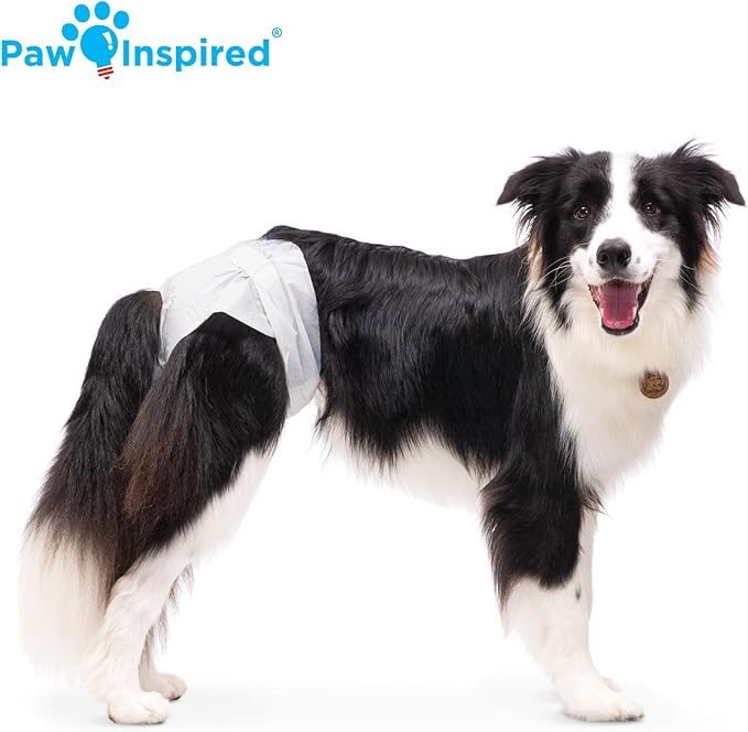 Paw Inspired 20ct Disposable Dog Diapers | Female Dog Diapers Ultra Protection | Diapers for Dogs in Heat, Excitable Urination, or Incontinence (Large)