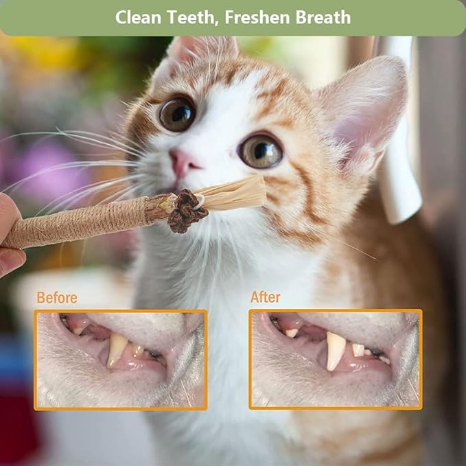 3 PCS Silvervine Sticks for Cats - Natural Cat Chew Toys for Teeth Cleaning, Kitten Teething & Aggressive Chewers