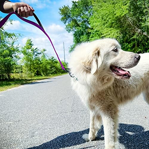 Joytale Dog Leash for Large Dogs that Pull, Double Handle