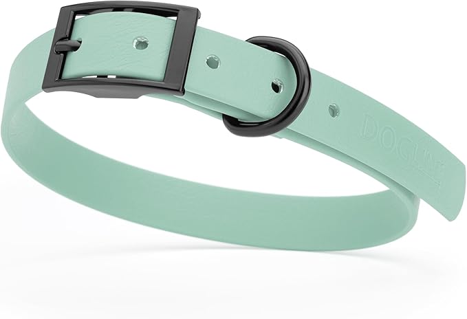 Dogline Biothane Waterproof Dog Collar Strong Coated Nylon Webbing with Black Hardware Odor- Proof for Easy Care Easy to Clean High Performance Fits Small Medium or Large Dogs, Sage Green