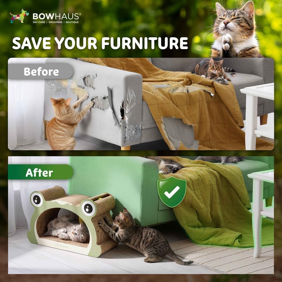 BOWHAUS Frog Style Kitten Scratching Board, Cat Scratcher Lounger