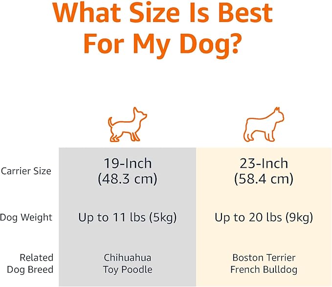 Amazon Basics 2-Door Top-Load Hard-Sided Dogs, Cats Pet Travel Carrier, Gray & Blue, 22.8"L x 15.0"W x 13.0"H