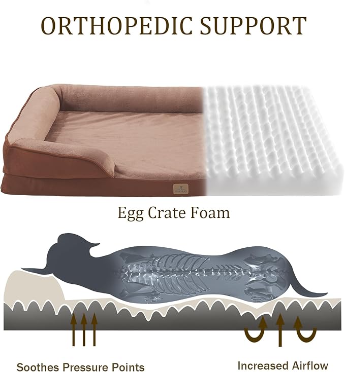 Bedfolks Orthopedic Dog Bed Extra Small, Waterproof Dog Sofa Bed for Small Dogs & Cats, Egg Foam Pet Couch Bed with Removable Washable Cover and Nonslip Bottom, Brown