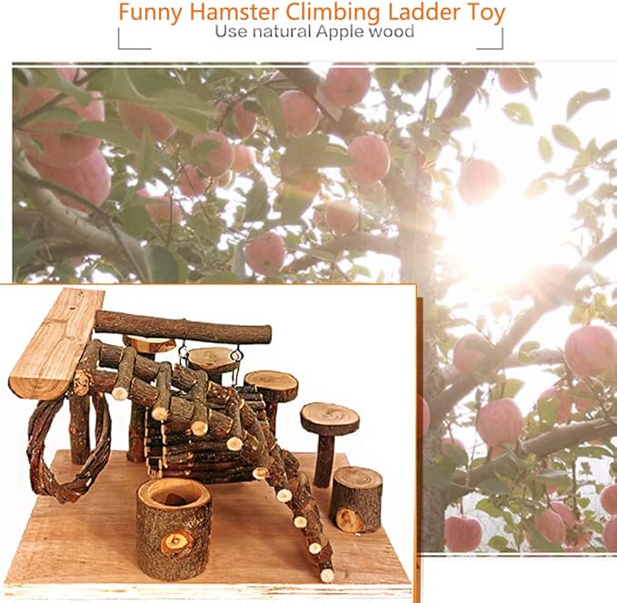 Tfwadmx Wooden Hamster Playground Platform, Small Animals Activity Set Climbing Bridge Ladder Ramps Toys for Mouse Dwarf Hamster Gerbil Chinchilla Guinea Pig Sugar Glider Syrian Hamster