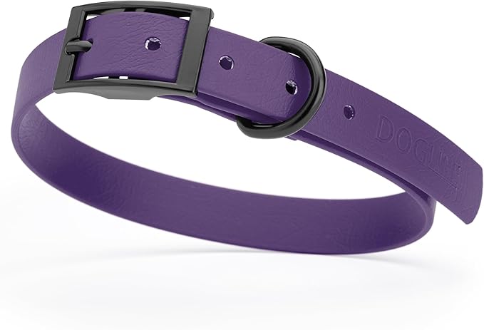 Dogline Biothane Waterproof Dog Collar Strong Coated Nylon Webbing with Black Hardware Odor- Proof for Easy Care Easy to Clean High Performance Fits Small Medium or Large Dogs, Violet Purple