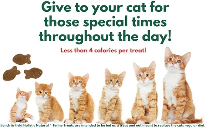 Bench & Field Holistic Natural Healthy Kitty Cat Treats | Crunchy Fish-Shaped Bites | Delicious Seafood Flavored Snack, 3-Ounce (Pack of 2 Bottles)