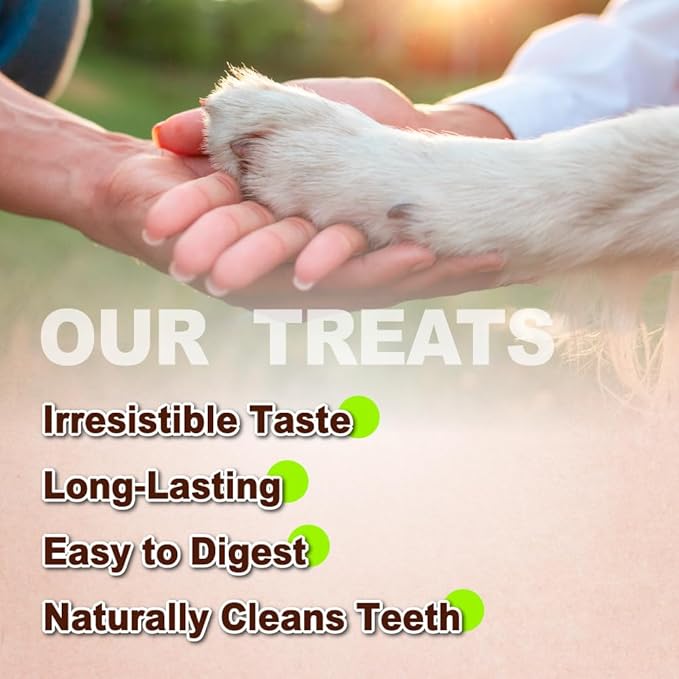 Afreschi Turkey Tendon Bone (S) 6 Pieces per Pack, USA-Sourced Turkey Tendon, All Natural Human Grade Puppy Chew, Hypoallergenic, Rawhide Alternative, Dog Treats for Small Breeds