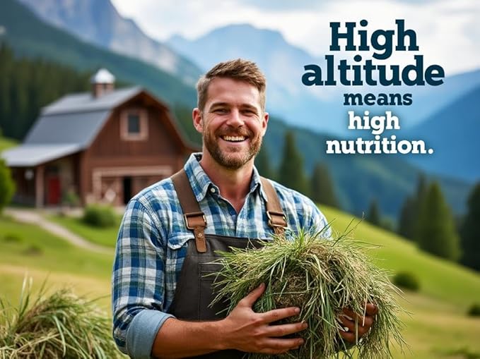 Blue Mountain Hay | Fresh Alfalfa Hay (24 Ounce) | High Leaf Retention | Nutritious High-Altitude Hay Pet Food for Rabbits, Guinea Pigs, Chinchillas, Hamsters, and Other Small Pets