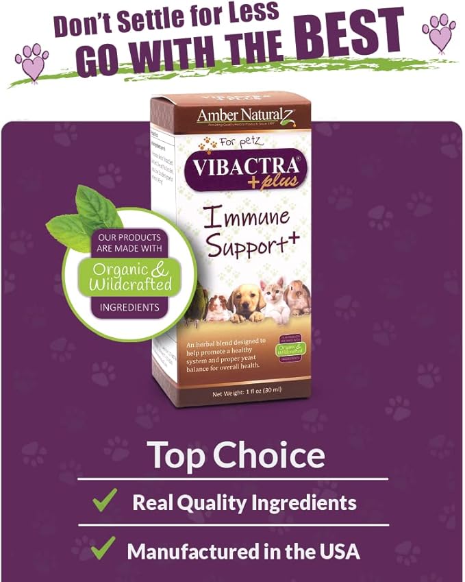 Amber NaturalZ Vibactra Plus Herbal Supplement for Dogs, Cats, Birds, Guinea Pigs, and Rabbits | Herbs for Immune Health and Yeast Balance | 1 Fluid Ounce Glass Bottle