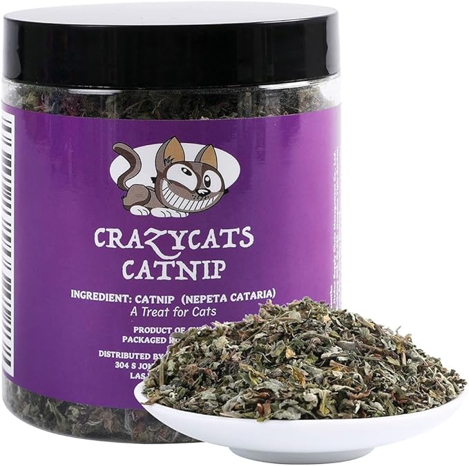 Organic Natural Catnip Cattle Grass Mint Taste Funny Cat Toy New Cat Toy Interactive Cat Toys Pet Supplies