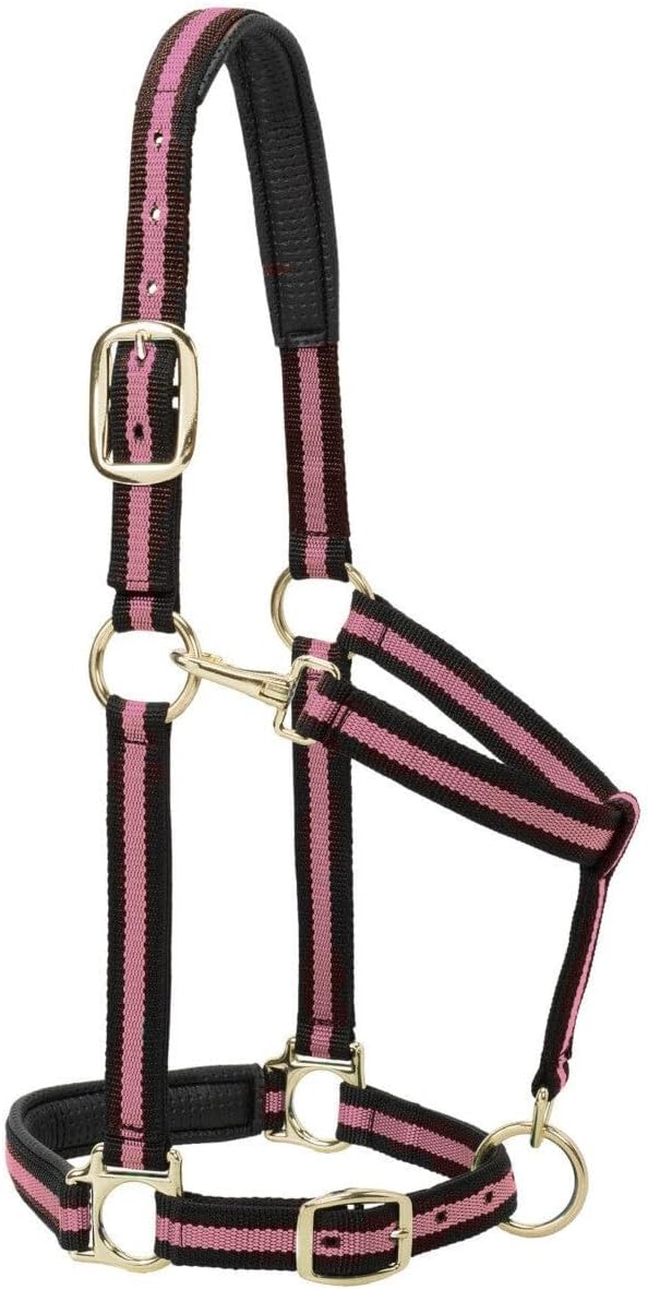 Weaver Leather Nylon Horse Halter, Padded and Adjustable, Chin and Throat Snap Hook Halters for Horses, Brass Plated Halters for Training