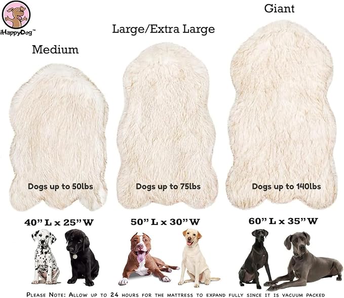 IHAPPYDOG Luxury Faux Fur Orthopedic Dog Bed, Memory Foam Dog Bed for Small, Medium, Large and XL Pets, Fluffy Pet Rug with Waterproof and Washable Cover (White w/Brown Tips, 40"x25")