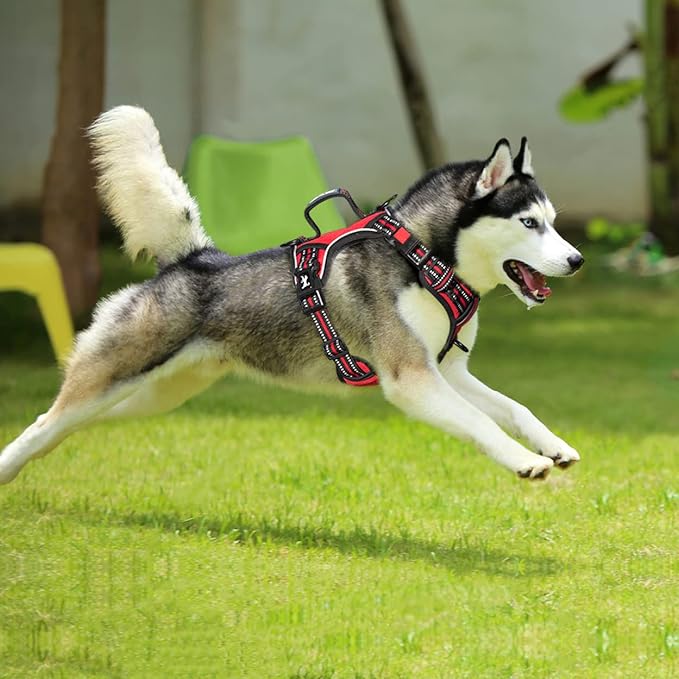 PoyPet No Pull Dog Harness, No Choke Front Clip Reflective Dog Vest with Soft Padded Vertical Handle, 3 Leash Attachments for Small Medium Large Dogs (Red,M)
