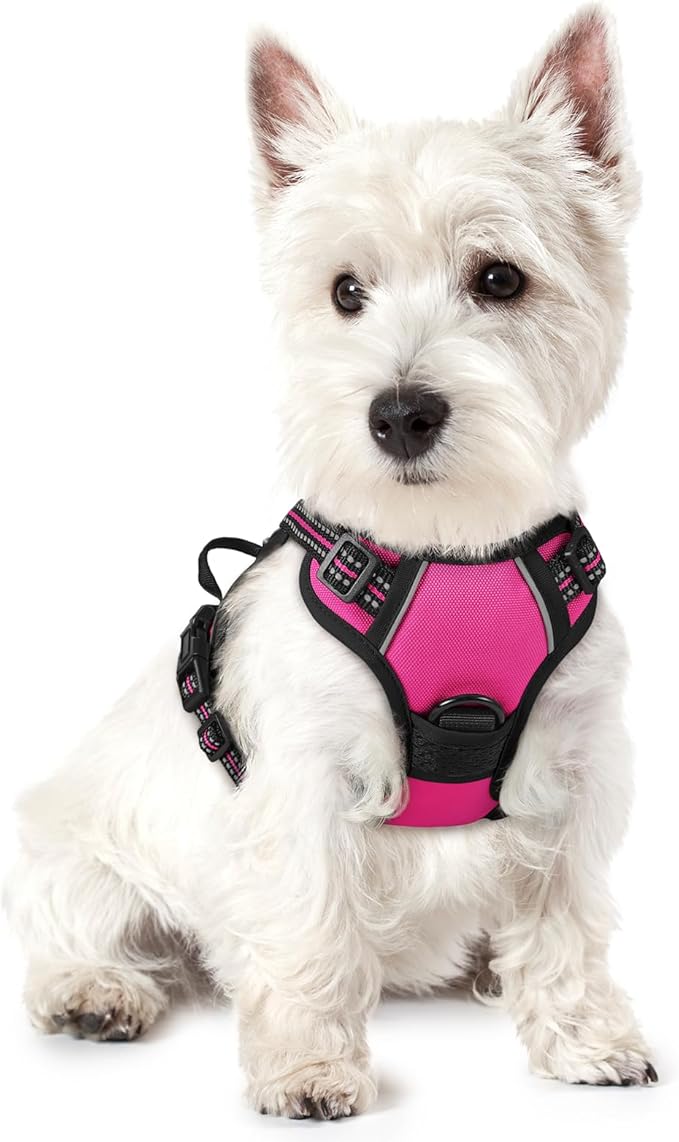 rabbitgoo Dog Harness No Pull with 2 Leash Clips, Adjustable Soft Padded, Reflective Oxford No Choke Pet Vest with Easy Control Handle for Puppy, Hot Pink, XS