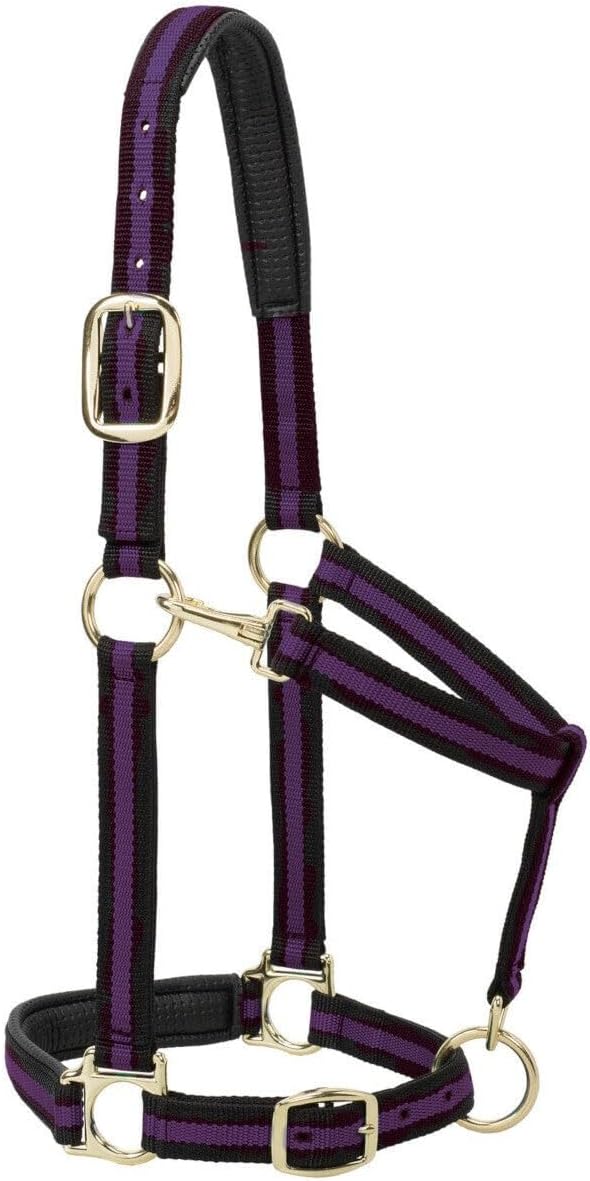 Weaver Leather Nylon Horse Halter, Padded and Adjustable, Chin and Throat Snap Hook Halters for Horses, Brass Plated Halters for Training