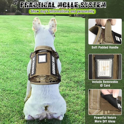 Tactical Service Dog Vest and Leash Set