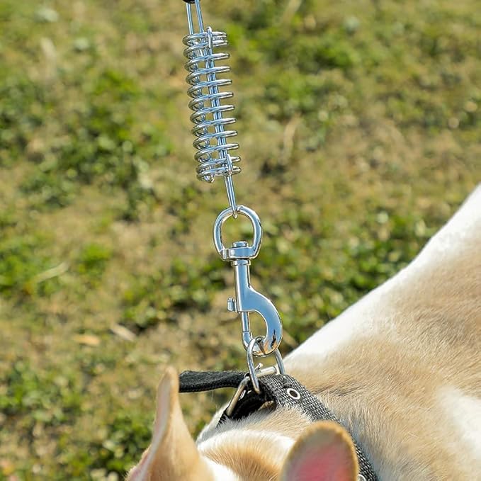 Tie Out Cable for Dog,50FT Dog Leads with Swivel Hook and Shock Spring,Heavy Duty Tie Out Cable for Large Dogs Up to 125lbs,Durable Dogs Runner Tether Line for Outdoor,Yard
