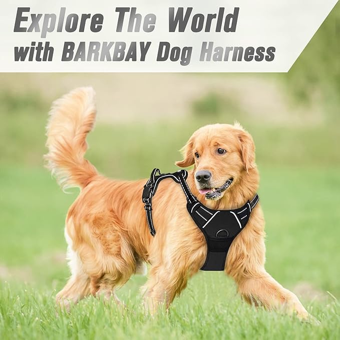 BARKBAY No Pull Dog Harness Front Clip Heavy Duty Reflective Easy Control Handle for Large Dog Walking(Black,M)