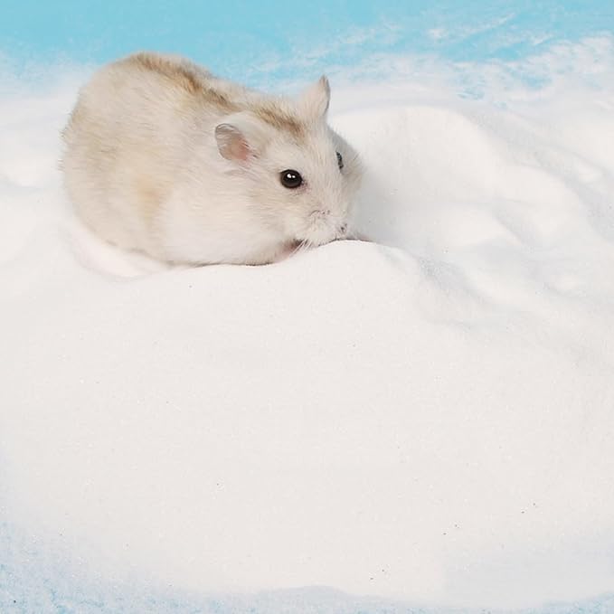DR.DUDU Hamster Bath Sand, 12lb Dust Free Desert Sand or Potty Litter Sand for Hamster Chinchillas Gerbil Syrian Mice Small Animals (White)