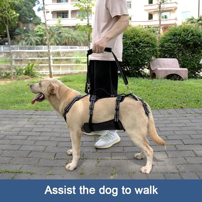 Coodeo Dog Lift Harness, Support & Recovery Sling, Pet Rehabilitation Lifts Vest Adjustable Breathable Straps for Old, Disabled, Joint Injuries, Arthritis, Paralysis Dogs Walk (Black,M)