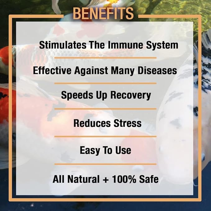 MICROBE-LIFT Sabbactisun Disease Treatment for Ponds and Outdoor Water Gardens, Disease Expellant for Pond Fish, 1 Gallon