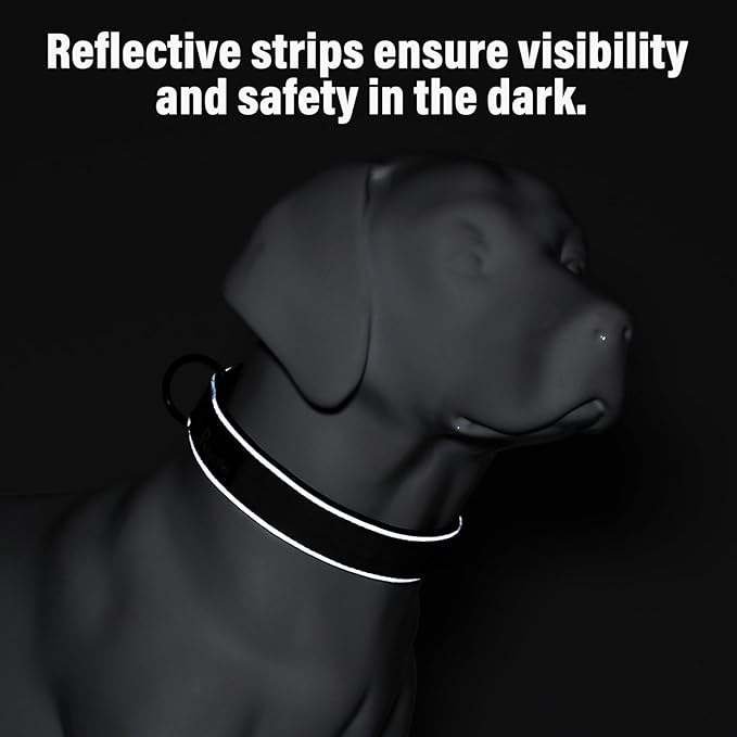 Plutus Pet Tactical Dog Collar, Reflective, Adjustable Heavy Duty Dog Collar, Soft Padded and Comfortable, for Small Medium and Large Dogs (Hot Pink, XS)