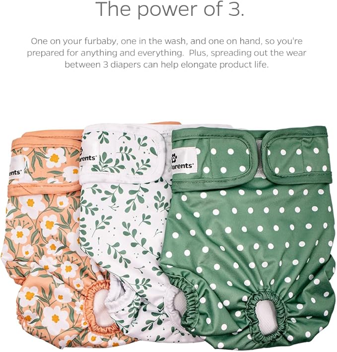 Pet Parents® Washable Dog Diapers (3pack) + Extendrs® of Durable Doggie Diapers, Premium Dog Diapers Female (Large, Daisy)