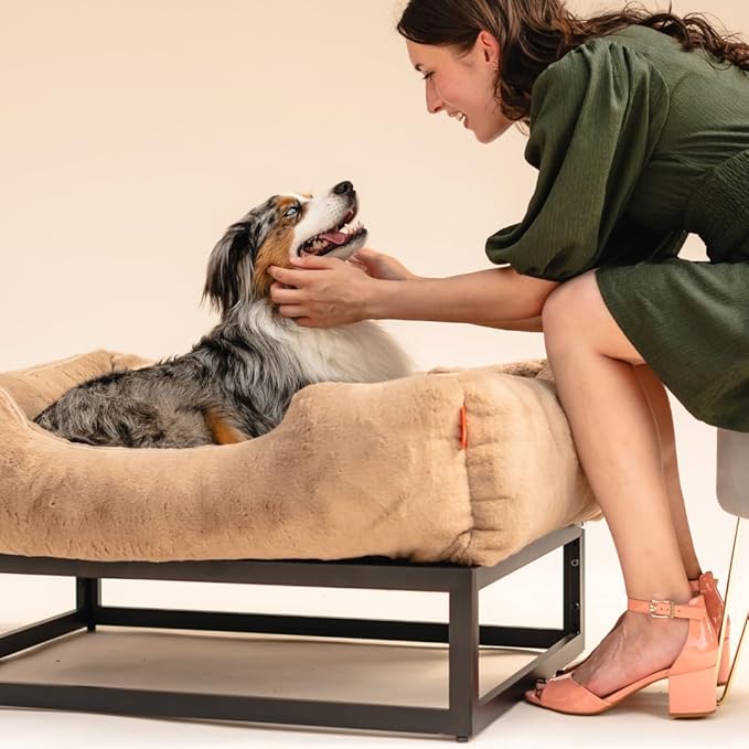 FUZI Luxury Aesthetic Dog Bed for Small Dogs with Washable Cover, Pet Couch, Pet Bed with Sides, Non-Slip Bottom, Soft and Durable Calming Dog Bed, Faux Rabbit Fur, Small 25.1x16.75x9.5 Light Brown