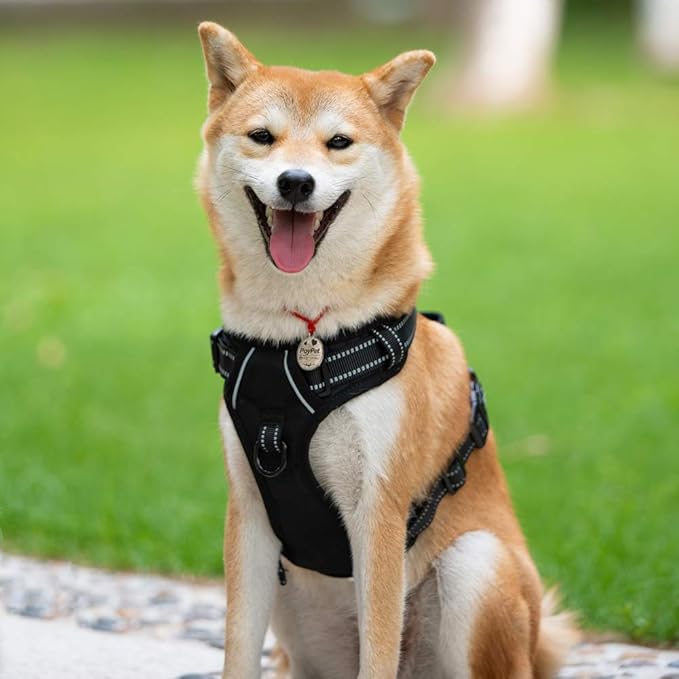 PoyPet No Pull Dog Harness, Reflective Comfortable Vest Harness with Front & Back 2 Leash Attachments and Easy Control Handle Adjustable Soft Padded Pet Vest for Small to Large Dogs (Black,S)