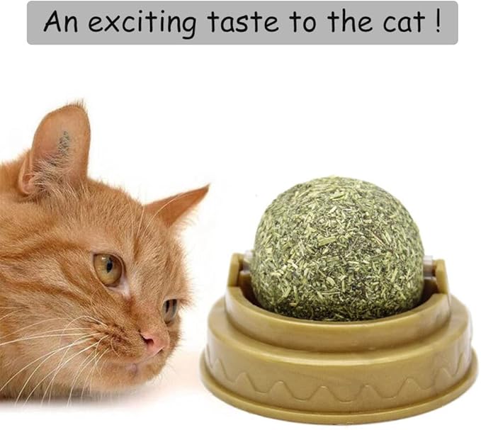Oncpcare 4 Pack Catnip Balls, Natural Mint Leaf Catnip Ball for Cats Wall Cat Nip Cat Treats Magic Toy for Kitten Kitty Playing Chewing