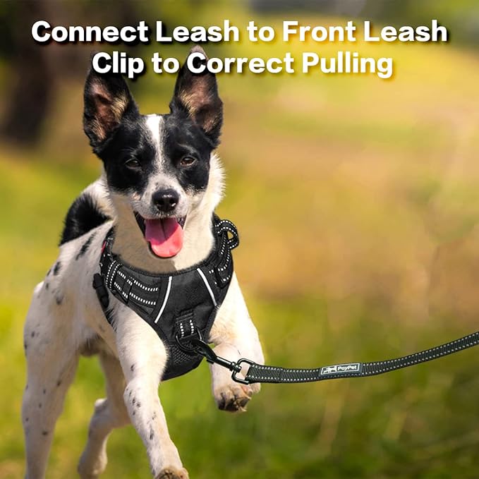 PoyPet No Pull Dog Harness, No Choke Front Clip Reflective Dog Vest with Soft Padded Vertical Handle, 3 Leash Attachments for Small Medium Large Dogs (Black,M)