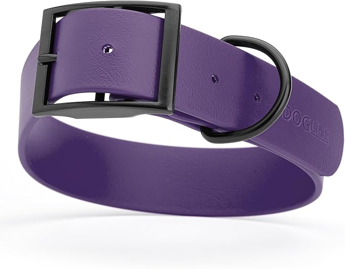 Dogline Biothane Waterproof Dog Collar Strong Coated Nylon Webbing with Black Hardware Odor- Proof for Easy Care Easy to Clean High Performance Fits Small Medium or Large Dogs, Violet Purple