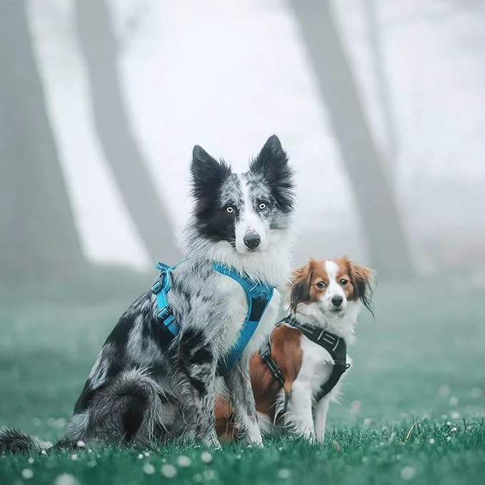 TRUE LOVE Truelove Adjustable No-Pull Dog Harness Reflective Pup Vest Harnesses Comfortable Control Brilliant Colors TLH5651(Blue,L)