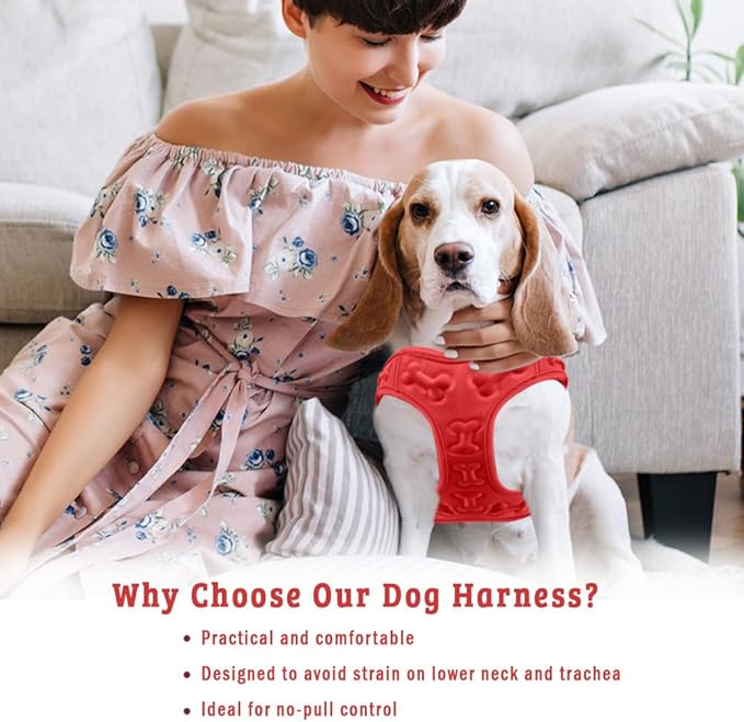 Comfort Fit No Pull Step-in Dog Harness – XS Harness for Small Medium Dogs, Easy Walk Adjustable Vest for Puppy or Service Dog – Soft Padded, Lightweight – Red