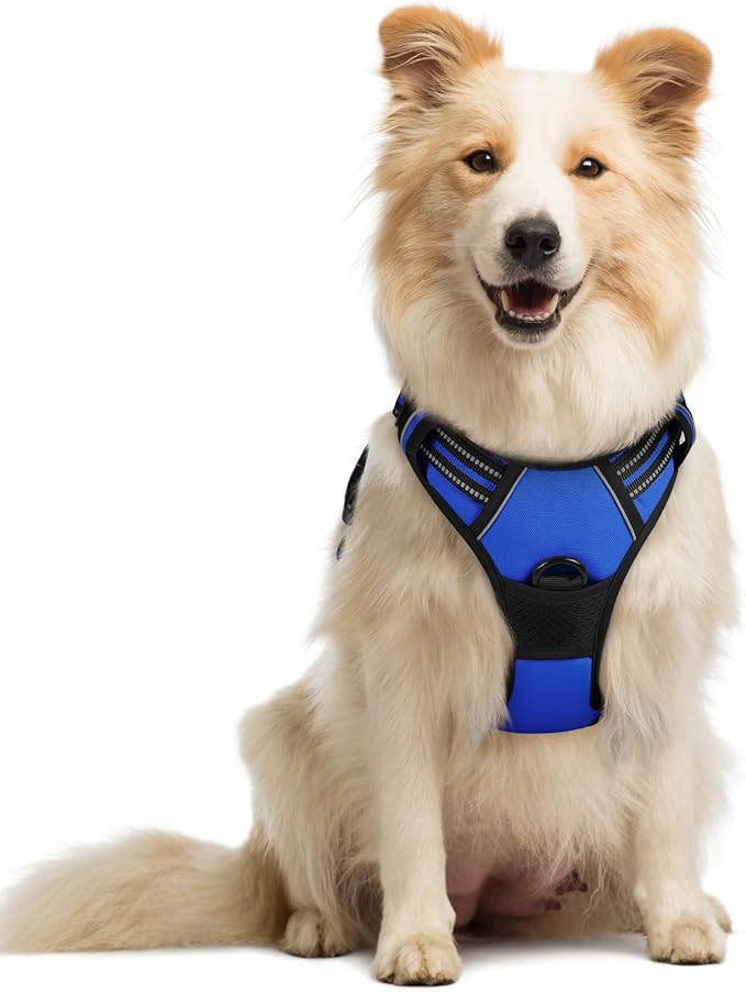 rabbitgoo Dog Harness No Pull with 2 Leash Clips, Adjustable Soft Padded, Reflective Oxford No Choke Pet Vest with Easy Control Handle for Medium Sized Dogs, Dazzling Blue, M