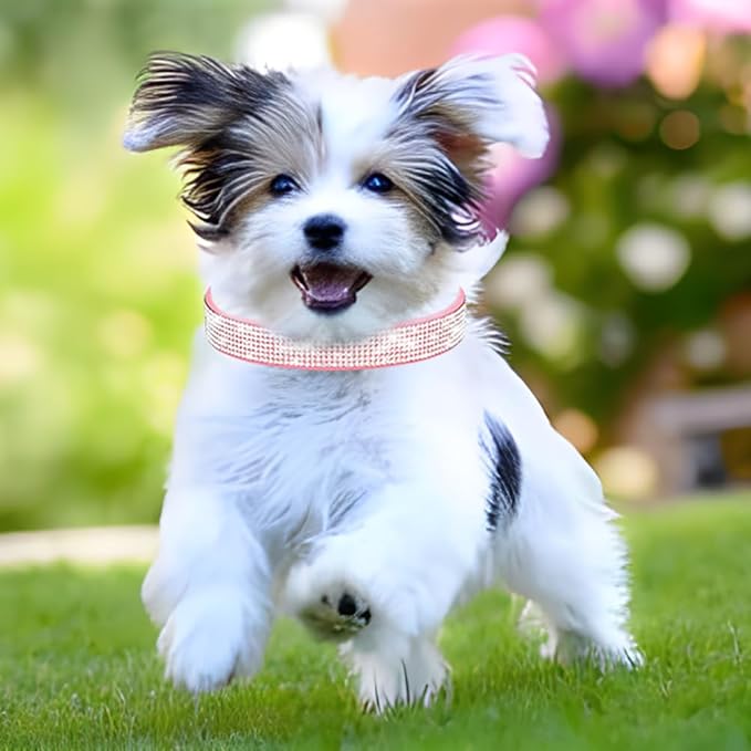 Rhinestone Dog Collar for Small Dogs, Bling Diamond Fancy Crystal Glitter Pretty Jewel Pet Puppy Collars for XXS XS Small Medium Large Breed Girl Dogs Female Cats Kitten, Colorful Pink L
