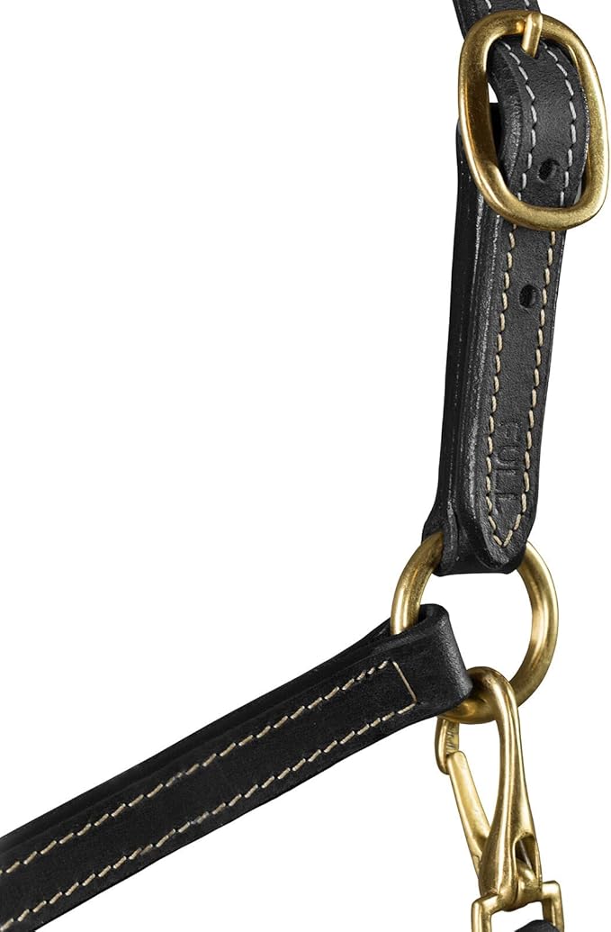 HORZE Fremont Soft Synthetic Leather Horse Halter | Fully Adjustable with Brass Hardware & Contrast Stitching - Black - Shetland