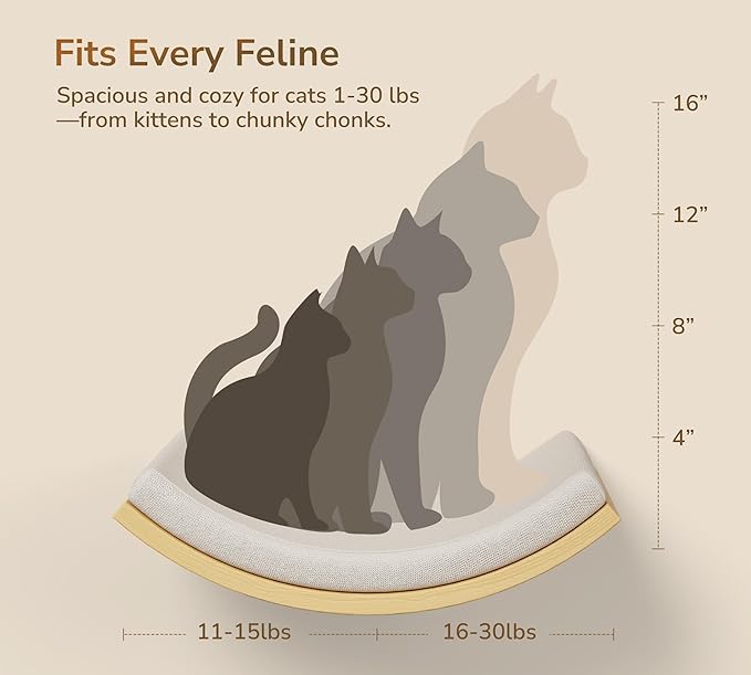 Cat Window Perches, Curved Cat Wall Beige Bed and 2 Floating Wall Steps, Wall Mounted Climbing Shelves for Sleeping, Playing, and Lounging