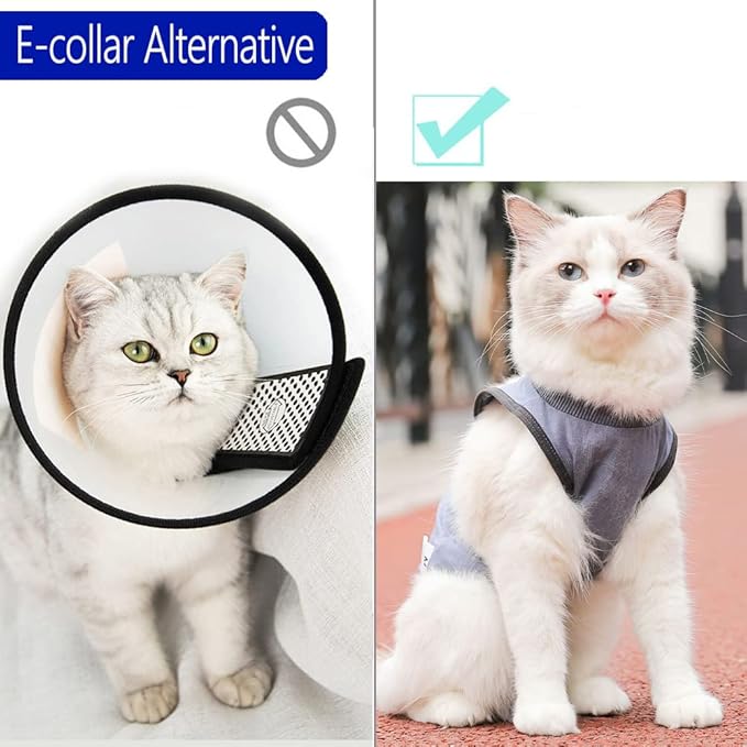 Cat Surgery Recovery Suit Cat Onesie for Cats After Surgery Spay Surgical Abdominal Wound Skin Diseases E-Collar Alternative Wear (Grey-Blue-L)