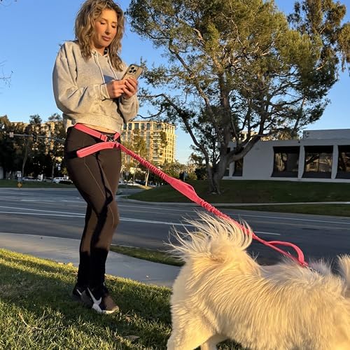 Shed Defender Hands Free Dog Leash Belt