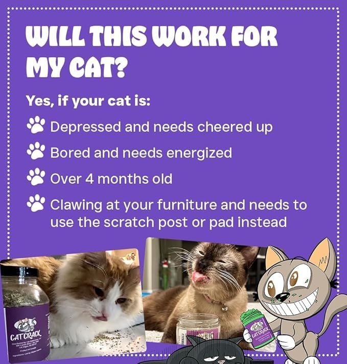 Cat Crack Organic Catnip, 100% Natural Cat Nips Organic Blend That Energizes and Excites Cats, Used for Cat Play, Training, & New Catnip Toys (1 Cup)