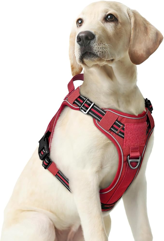 rabbitgoo Dog Harness Medium Sized No Pull, Tactical Service Pet Vest with Molle and Control Handle, Adjustable and Reflective Military Harness for Easy Walking and Training, Red, M