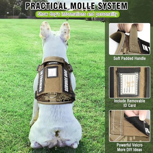Tactical Dog Harness and Leash Set