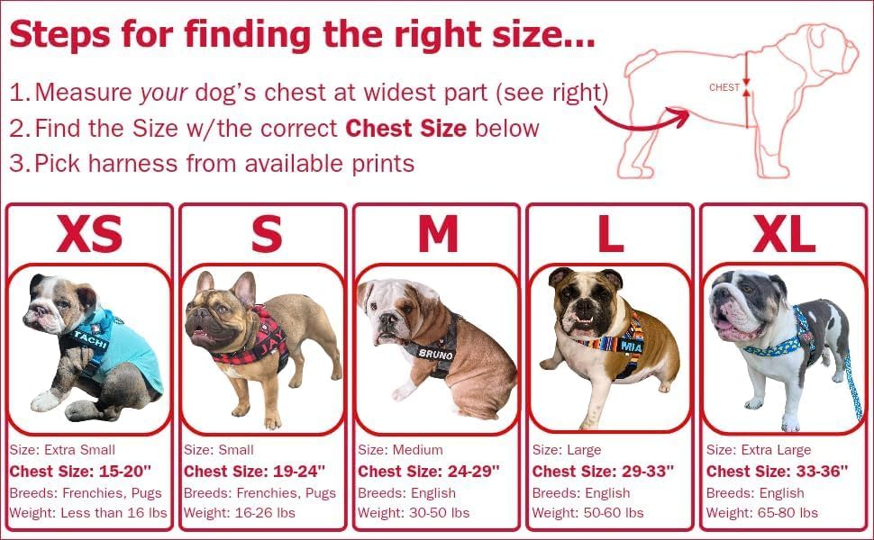 BULLHUG Adjustable Dog Harness– No Pull, No Choke –