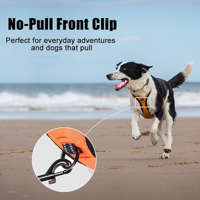 PoyPet No Pull Dog Harness, Reflective Comfortable Vest Harness with Front & Back 2 Leash Attachments and Easy Control Handle Adjustable Soft Padded Pet Vest for Small to Large Dogs (Orange,XL)