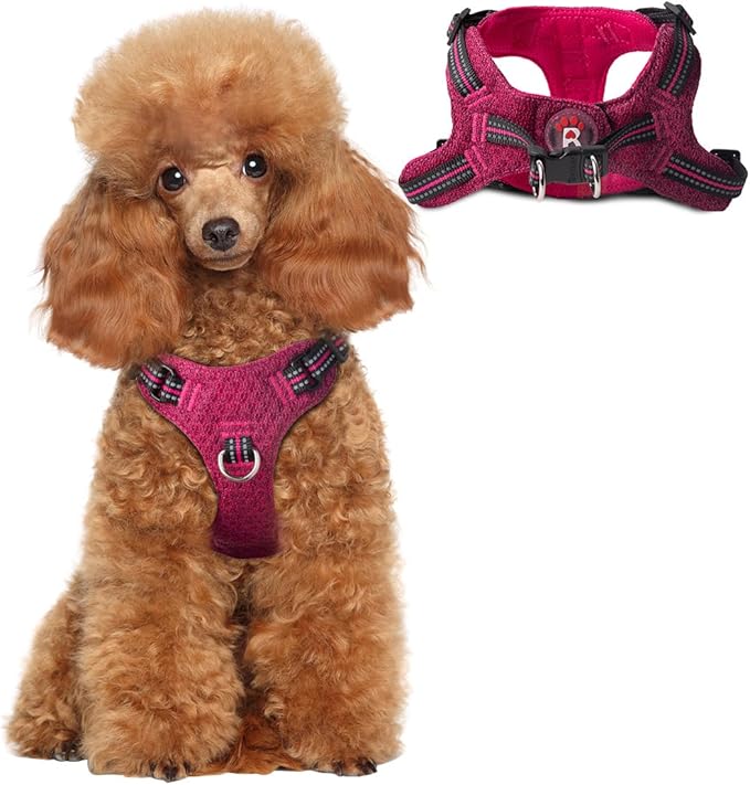 Dog Harness Step in Dog Vest Harness, Reflective Adjustable Puppy No Pull Harness Breathable Soft for Small and Medium Dogs Cats, Pink/Black, XS