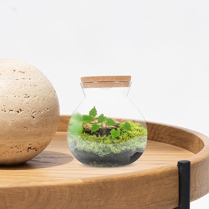 Fish Bowl with LED Light - Small Betta Fish Tank with LED Lighting and Lid Glass Fish Bowl Small Aquarium for DIY Landscape